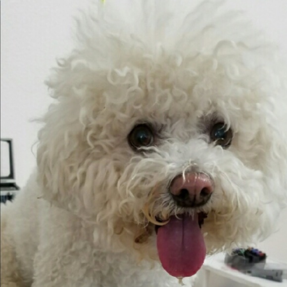 joeytoby